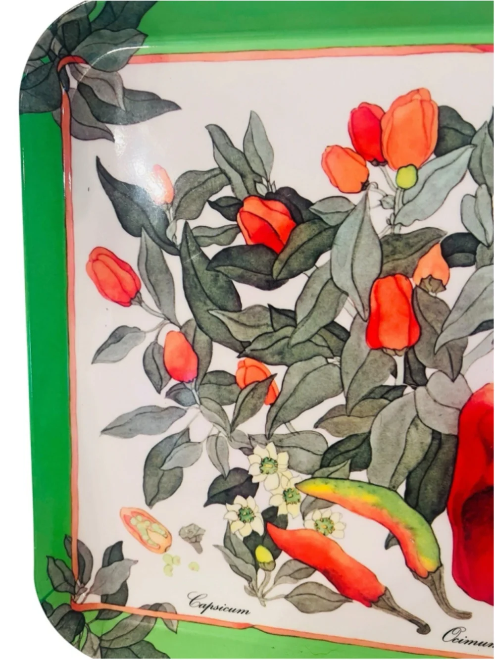 Vintage Italy Botanical Melamine Tray 17” Atelier Michele Trumel Peppers Basil